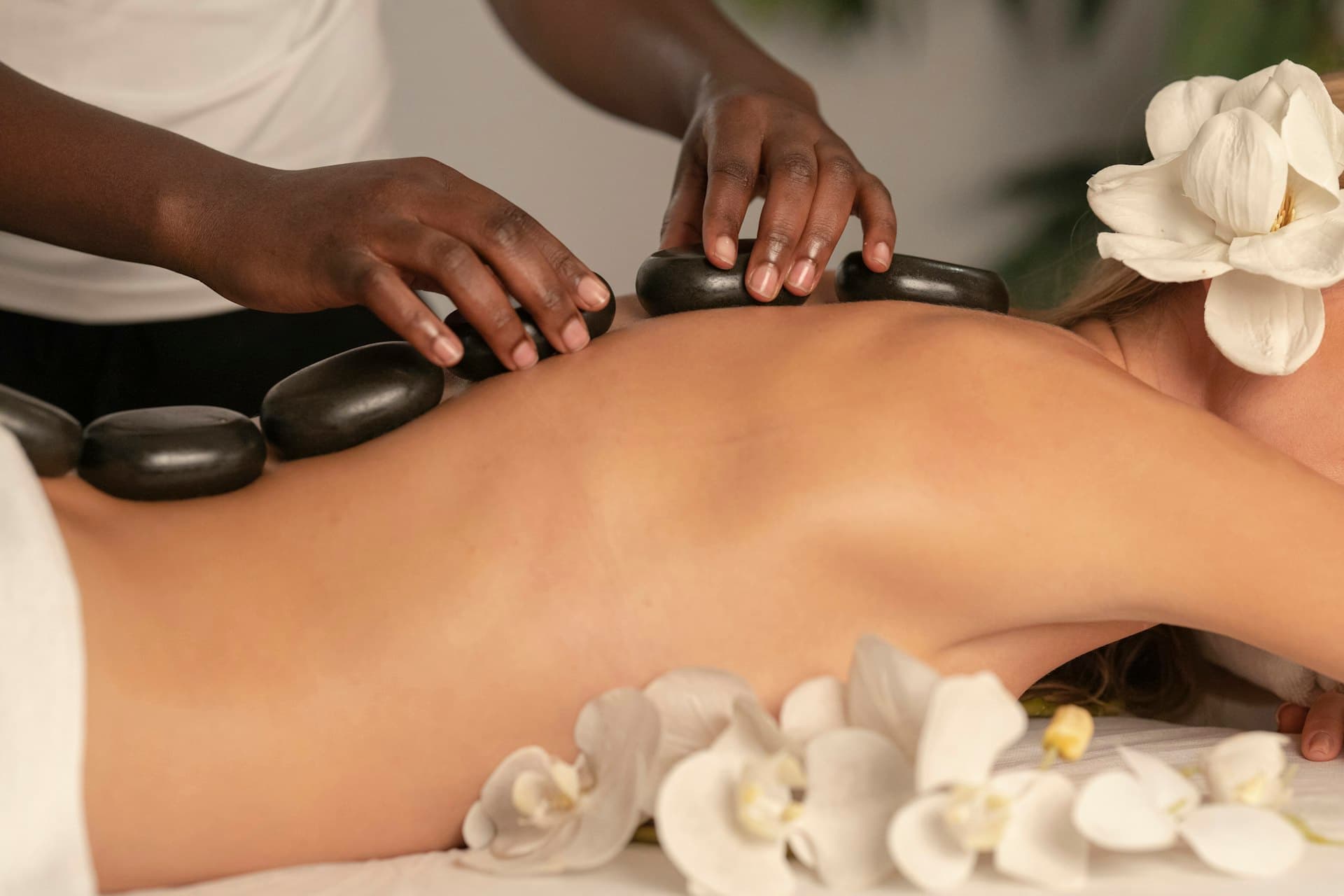 Wellness 2