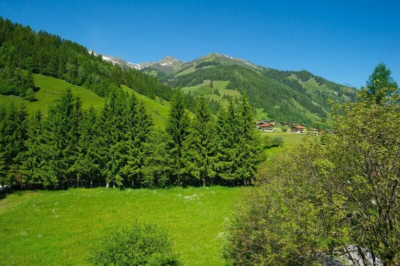 Naturazimmer Classic - Bild 5